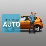 Seguro auto online