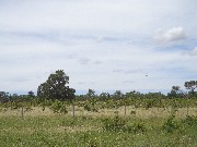 Linda fazenda mg 775 hectares